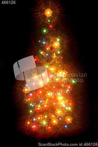 Image of xmas tree