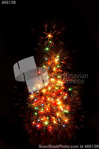 Image of xmas tree