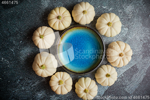 Image of Cute white Baby boo mini pumpkins placed in circle with blue ceramic bowl in the middle