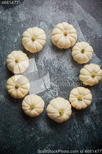 Image of Composition of cute white Baby boo mini pumpkins placed in circl