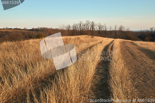 Image of Countriside dirt road landscape, pale autumn