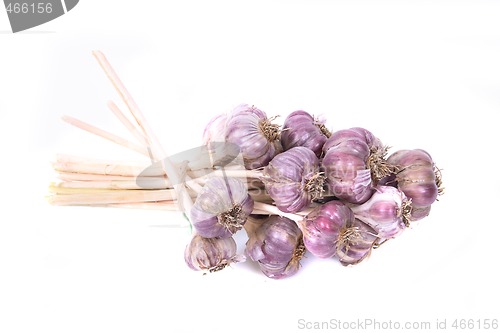 Image of garlic