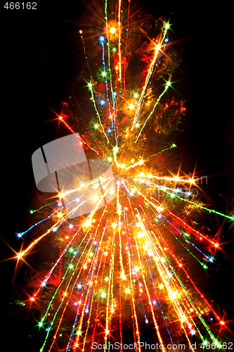 Image of xmas tree