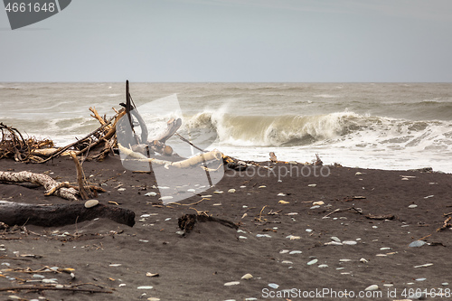 Image of jade beach Hokitika, New Zealand