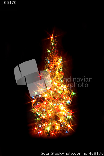 Image of xmas tree