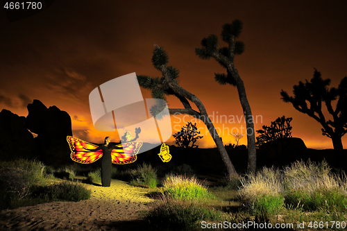 Image of Person Light Painted in the Desert Under the Night Sky