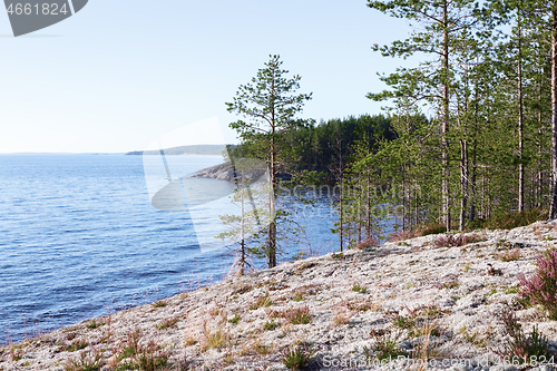 Image of Northern Wild Landscape with View of the Rocky Lake Coast