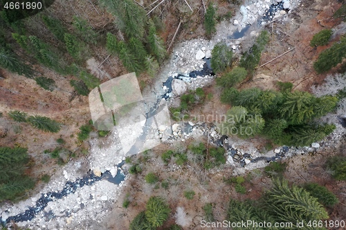 Image of alpine river creek fresh clean water top view