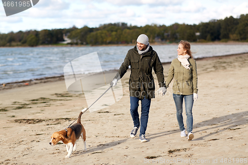 Image of couple with beagle dog walking along autumn beach