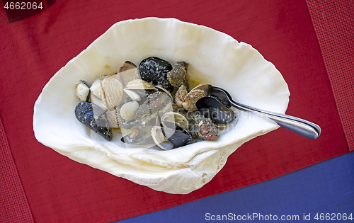 Image of Delicious dish of mixed shellfish served in a large shell 