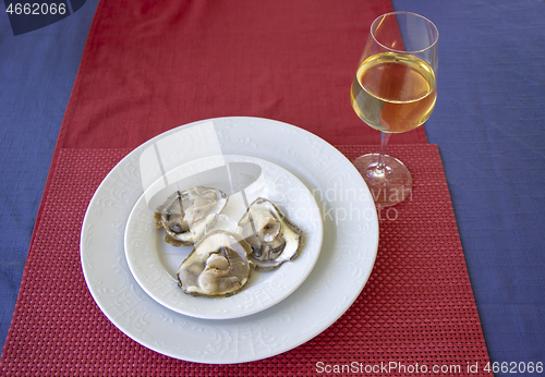 Image of Oysters in ice on a white plate and glass of white wine