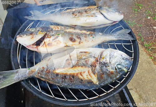 Image of Grilled gilthead sea bream, dorada on the grill