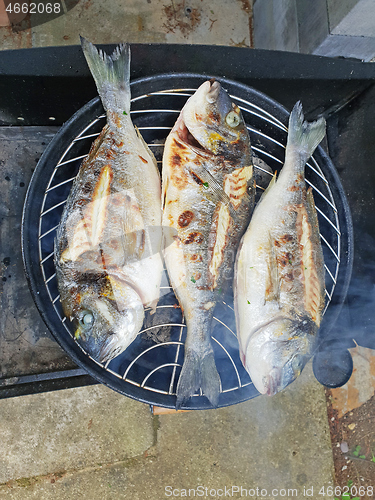 Image of Grilled gilthead sea bream, dorada on the grill