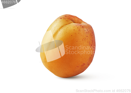 Image of Fresh ripe natural organic apricot isolated on a white background.