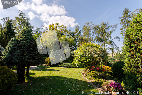 Image of colorful spring garden