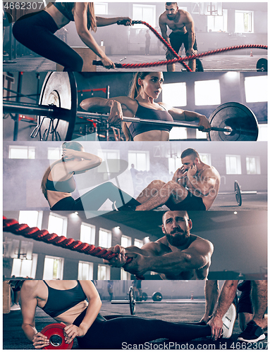 Image of Collage about exercises in the fitness gym.