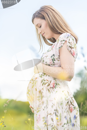 Image of Beautiful pregnant woman in white summer dress in meadow full of yellow blooming flovers.