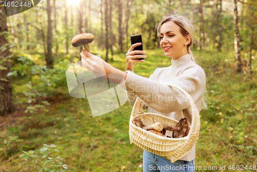 Image of woman using smartphone to identify mushroom