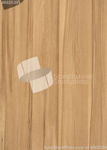 Image of wood grain surface