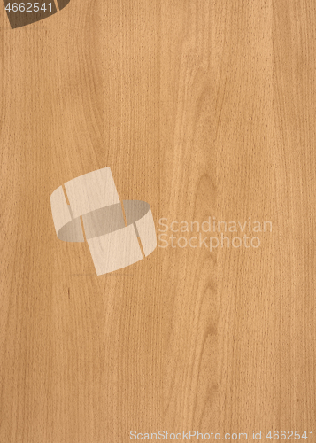 Image of wood grain surface