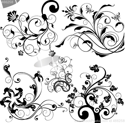 Image of floral design elements