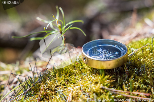 Image of Traveller compass on the grass in the forest