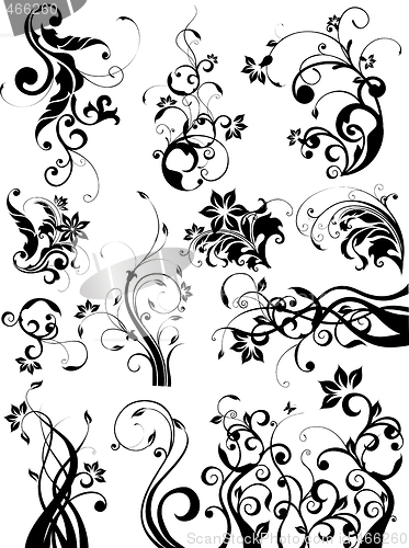 Image of floral design elements