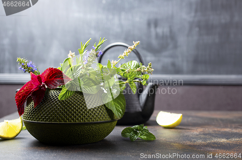 Image of teapot and herb