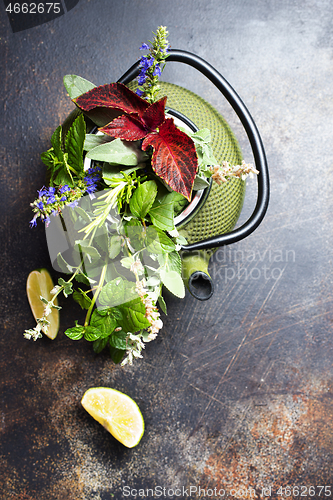 Image of teapot and herb