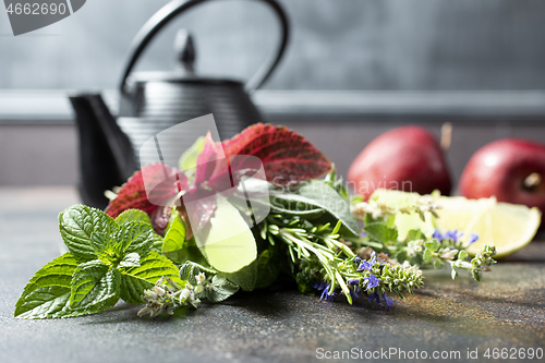 Image of teapot and herb