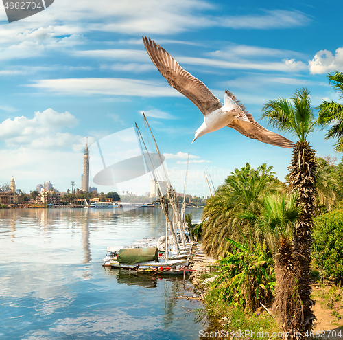 Image of Cairo by day