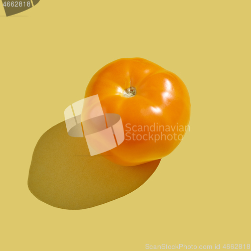 Image of yellow tomato on yellow background