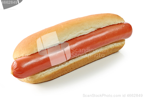 Image of hot dog on white background