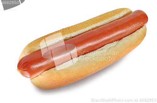 Image of hot dog on white background