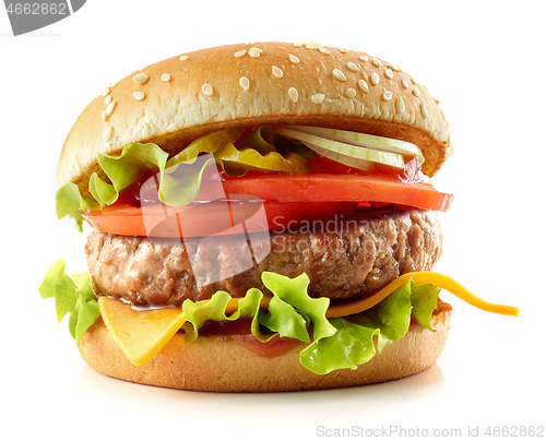 Image of fresh tasty burger