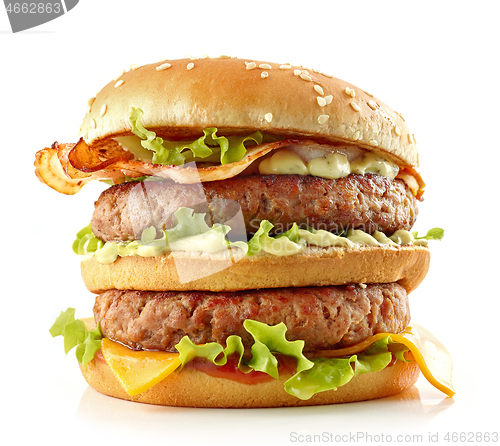 Image of fresh tasty burger