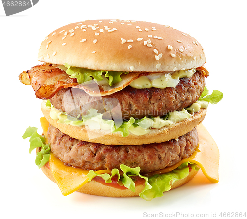 Image of fresh tasty burger