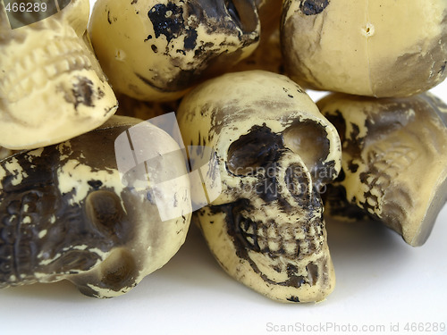 Image of Plastic Toy Skulls