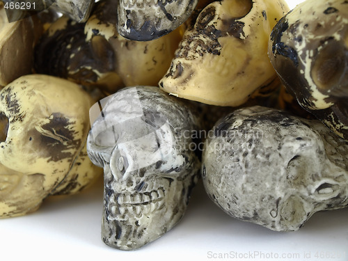 Image of Toy Skull Wall
