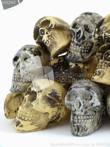 Image of Toy Skull Formation