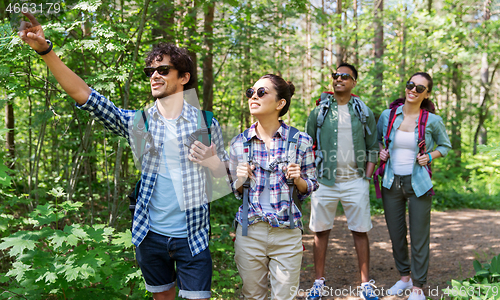 Image of group of friends with backpacks hiking in forest