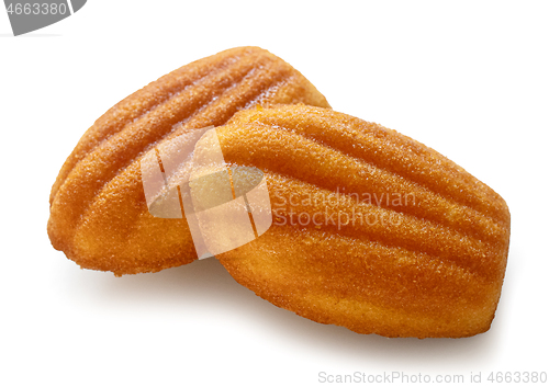 Image of freshly baked Madeleines cakes