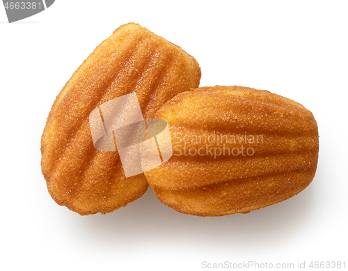 Image of freshly baked Madeleines cakes