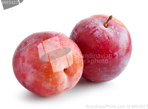 Image of fresh ripe wet red plums