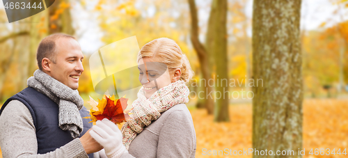 Image of smiling couple in autumn park