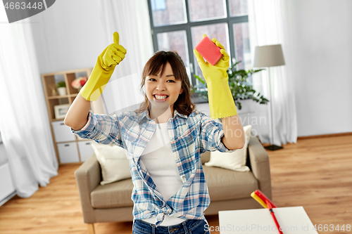 Image of happy asian woman with sponge cleaning at home