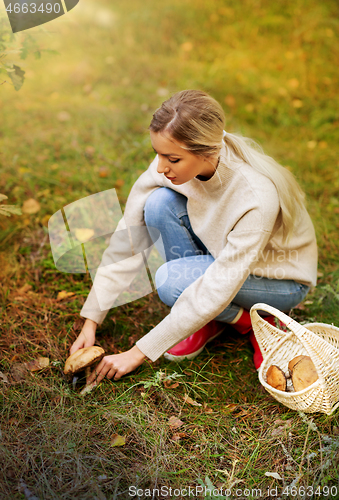 Image of young woman picking mushrooms in autumn forest