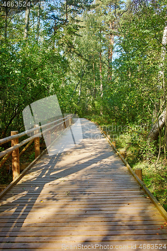 Image of wooden nature trail 