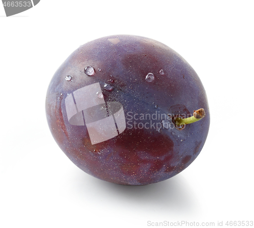 Image of fresh ripe plum