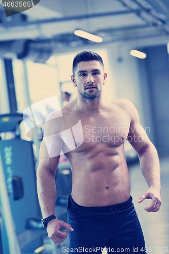 Image of handsome man exercising at the gym